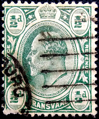  1905  .   VII . 0,5 p .